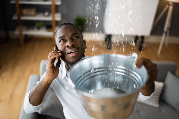 Best Mold removal after water damage  in Yardley, PA