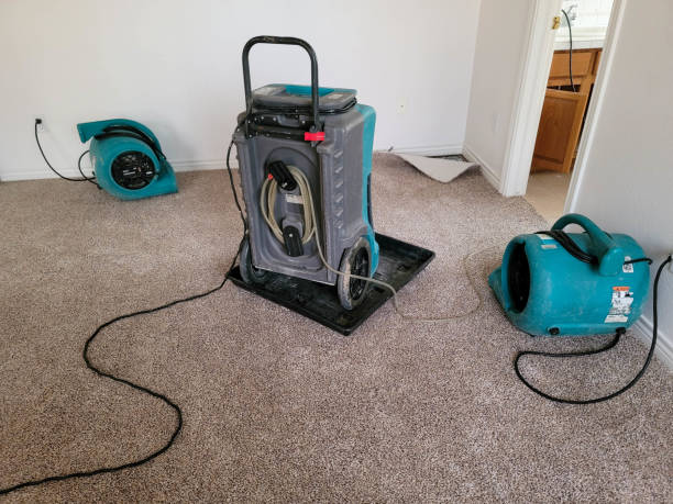 Best Water damage restoration insurance claims  in Yardley, PA