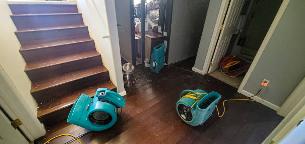 Best Ceiling water damage repair  in Yardley, PA