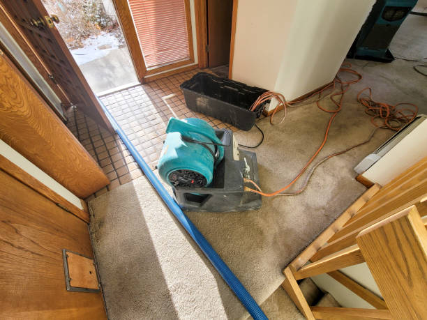 Best Water damage restoration near me  in Yardley, PA