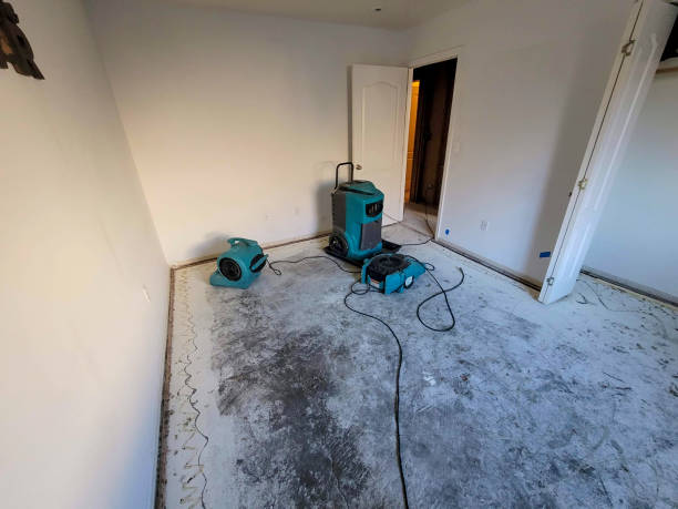 Best Residential water damage restoration  in Yardley, PA