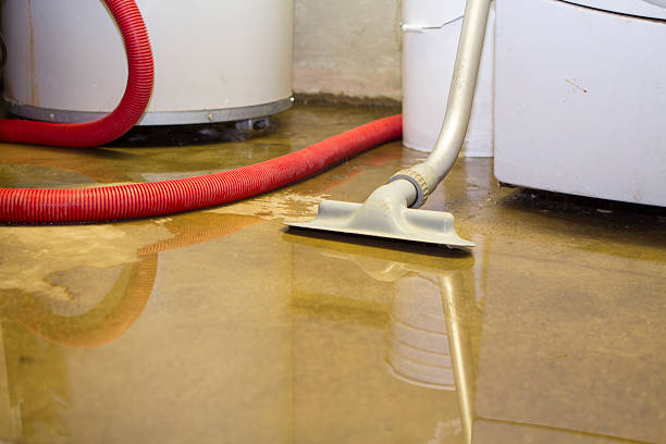 Best Water damage repair service  in Yardley, PA