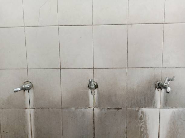 Best Local water damage restoration  in Yardley, PA