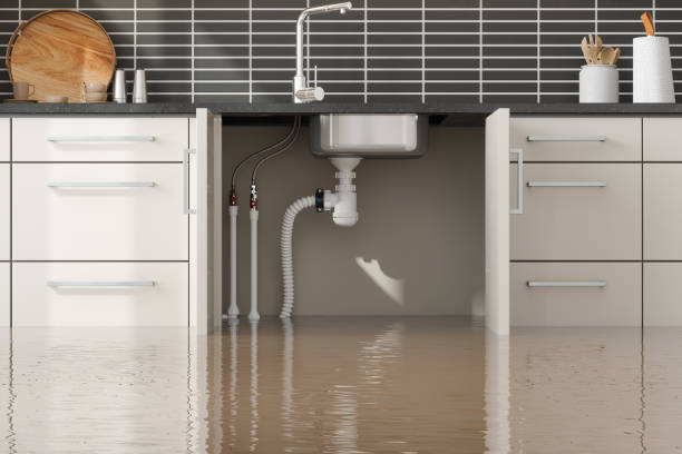 Best Flood restoration services  in Yardley, PA